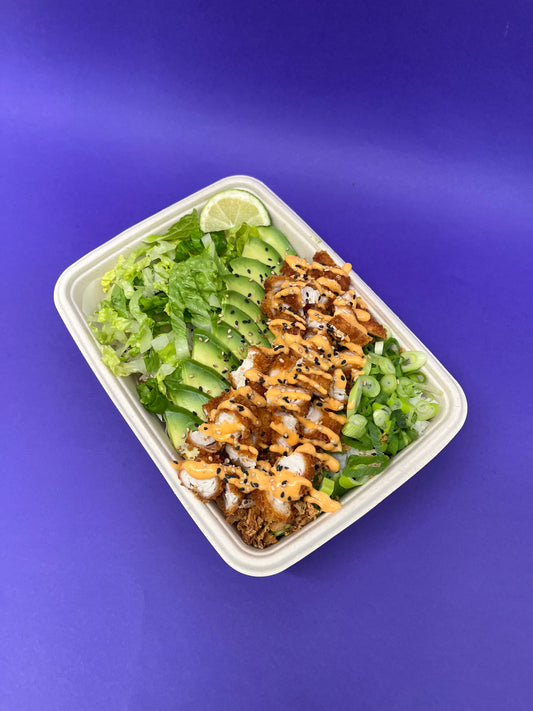 Katsu Chicken Rice Bowl